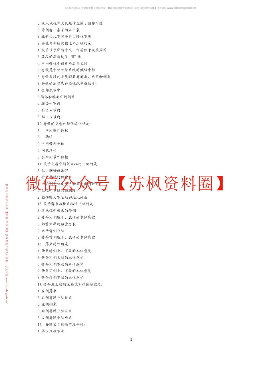 中枢神经系统
